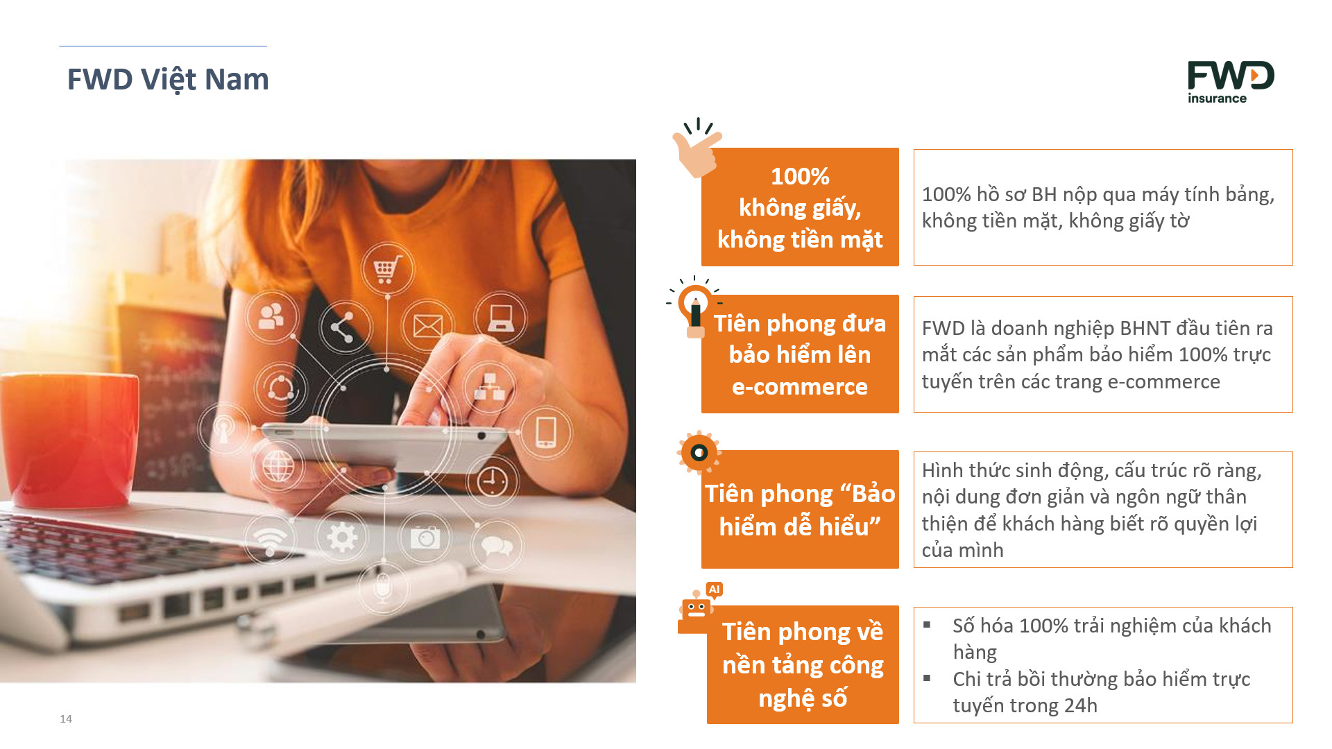 lĩnh vực hoạt động
